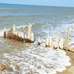 Les Altheas In By Interhome * Villers-sur-Mer